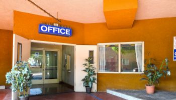 This image shows the entrance to an office with potted plants, large windows, and a blue 