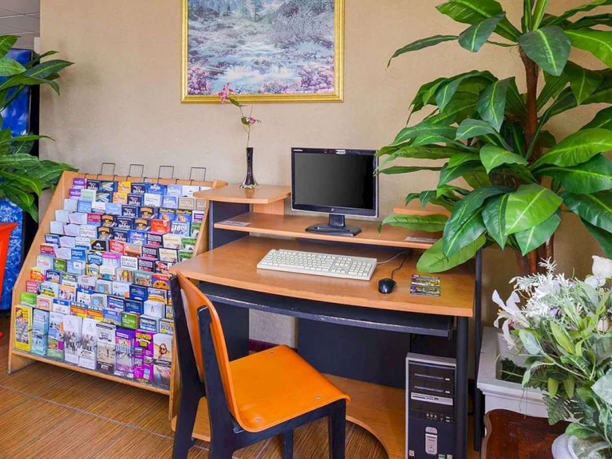 The image shows a tidy desk setup with a desktop computer, a chair, and a display rack of brochures. There are plants and a framed picture.